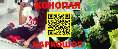 прущие грибы Изобильный