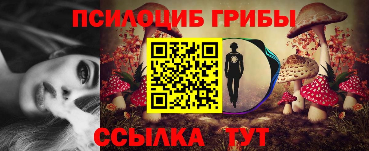 Псилоцибиновые грибы прущие грибы Глазов