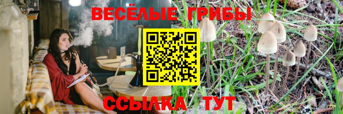 Галлюциногенные грибы MAGIC MUSHROOMS  Вход с VPN  Галлюциногенные грибы ЛСД  Глазов 